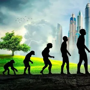 Human evolution