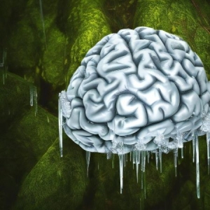 Image of a frozen brain